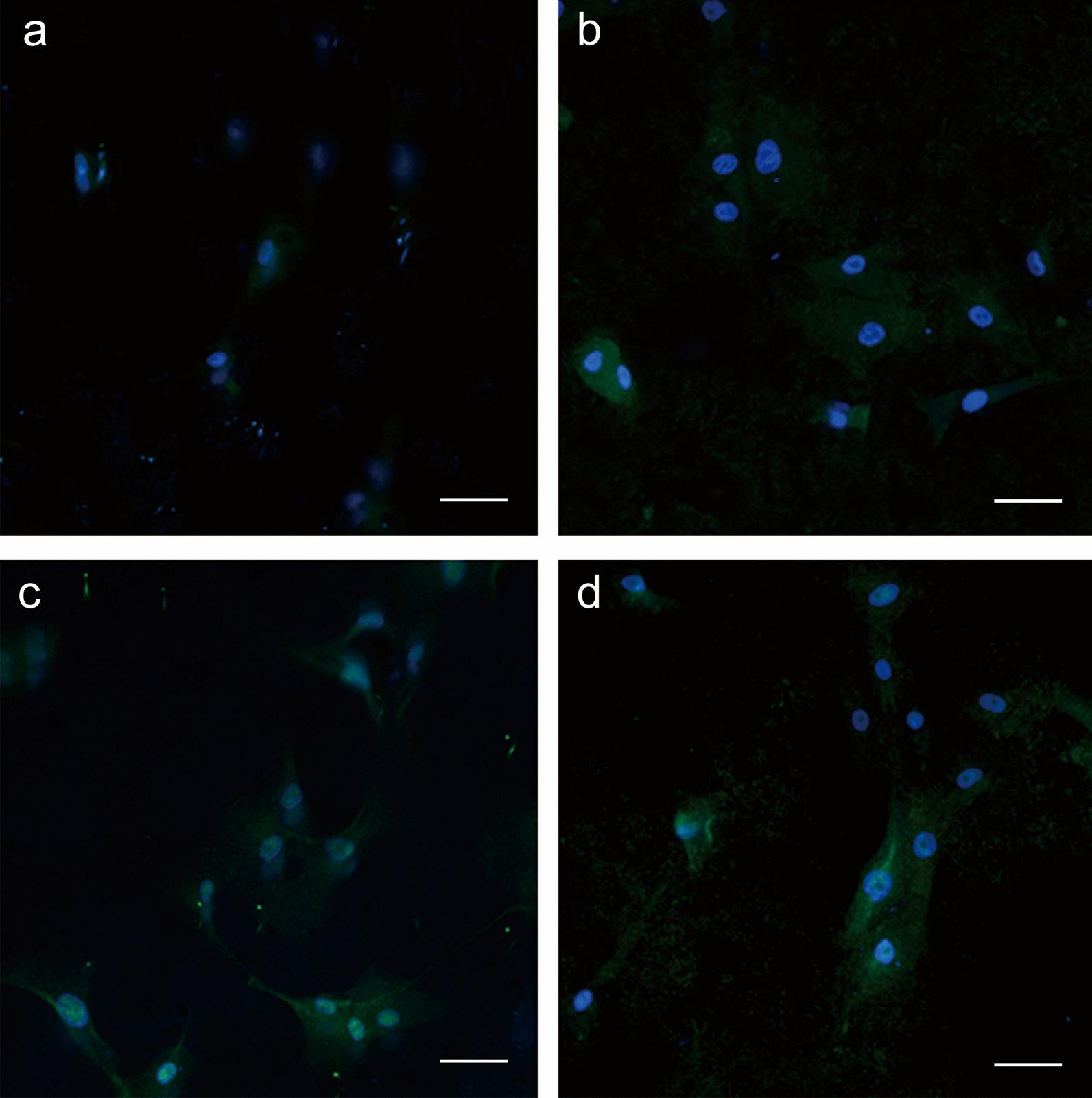 https://cdn.ncbi.nlm.nih.gov/pmc/blobs/5064/7980346/8bf64796d1ec/12951_2021_826_Fig6_HTML.jpg