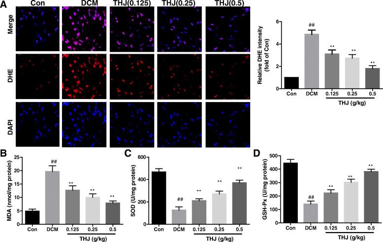 https://cdn.ncbi.nlm.nih.gov/pmc/blobs/5066/7913206/a79937645399/12906_2021_3218_Fig3_HTML.jpg