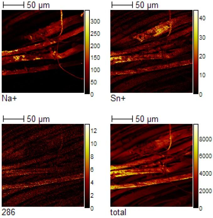 https://cdn.ncbi.nlm.nih.gov/pmc/blobs/5067/5452504/f684e2e65f1e/materials-06-02007-g009.jpg