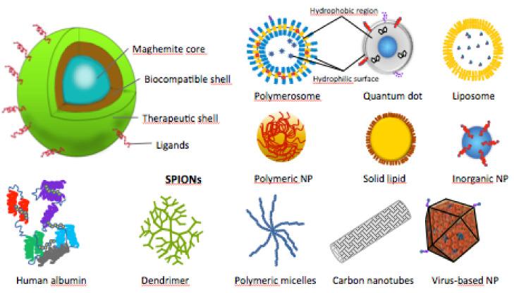 https://cdn.ncbi.nlm.nih.gov/pmc/blobs/5067/7998448/91acfa44d057/brainsci-11-00358-g004.jpg