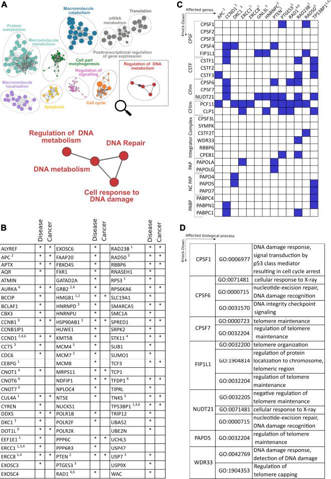 https://cdn.ncbi.nlm.nih.gov/pmc/blobs/5067/9095915/5d47249cd783/fgene-13-854907-g002.jpg