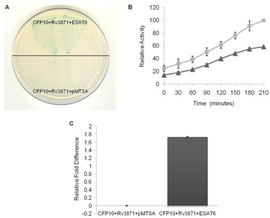 https://cdn.ncbi.nlm.nih.gov/pmc/blobs/5068/3210800/a39957a2a8e6/pone.0027503.g003.jpg