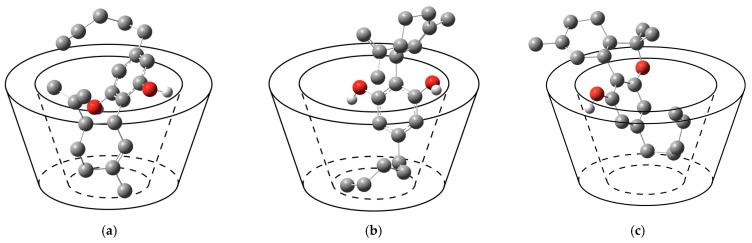 https://cdn.ncbi.nlm.nih.gov/pmc/blobs/5068/9865391/6c3a0b29eb73/ijms-24-01525-g002.jpg