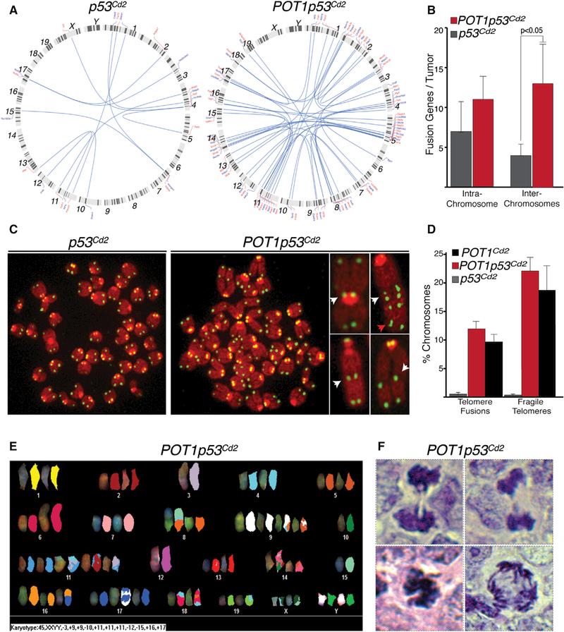 https://cdn.ncbi.nlm.nih.gov/pmc/blobs/506a/6145145/03f05fe45566/nihms-987148-f0002.jpg