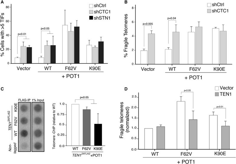https://cdn.ncbi.nlm.nih.gov/pmc/blobs/506a/6145145/433c6243227a/nihms-987148-f0006.jpg