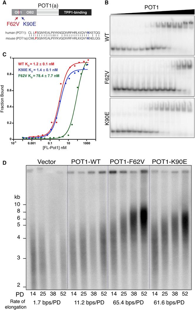 https://cdn.ncbi.nlm.nih.gov/pmc/blobs/506a/6145145/598d22ed9318/nihms-987148-f0003.jpg
