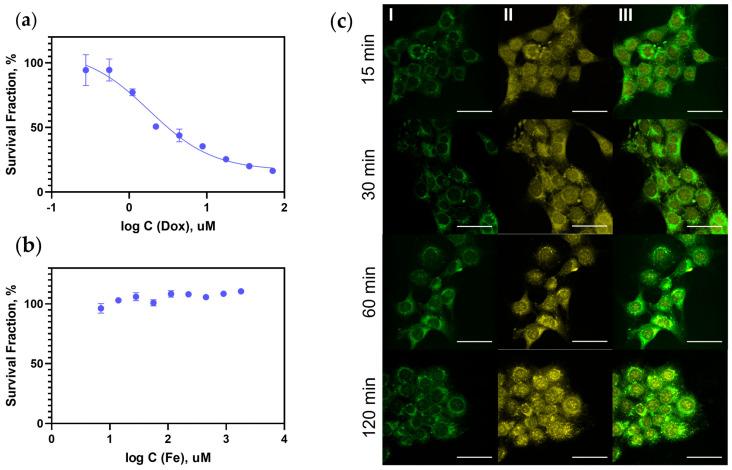 https://cdn.ncbi.nlm.nih.gov/pmc/blobs/506b/10531619/881eb0540a49/jfb-14-00461-g004.jpg