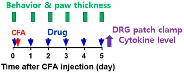 https://cdn.ncbi.nlm.nih.gov/pmc/blobs/506d/10669149/dac3be0bc4c2/biomedicines-11-02990-g001.jpg
