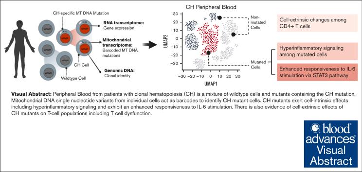 https://cdn.ncbi.nlm.nih.gov/pmc/blobs/506e/11284682/d4045ccd81af/BLOODA_ADV-2023-011445-ga1.jpg
