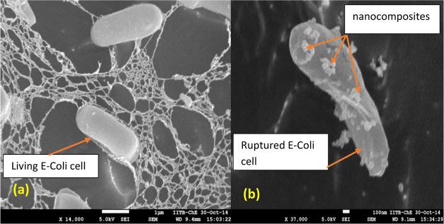 https://cdn.ncbi.nlm.nih.gov/pmc/blobs/506e/9453936/6a579b0c93d7/ao2c02064_0007.jpg