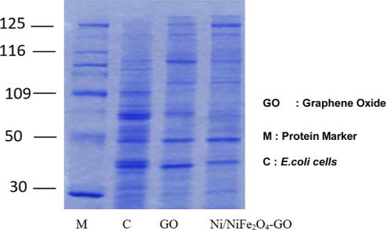 https://cdn.ncbi.nlm.nih.gov/pmc/blobs/506e/9453936/adb8b93e19de/ao2c02064_0008.jpg