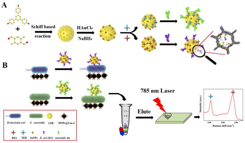 https://cdn.ncbi.nlm.nih.gov/pmc/blobs/5070/12293233/c29c2bce5fe5/biosensors-15-00469-g016.jpg