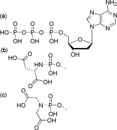 https://cdn.ncbi.nlm.nih.gov/pmc/blobs/5070/2860114/50d67a1becd7/gkp1246f1.jpg