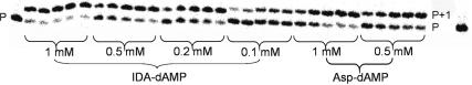 https://cdn.ncbi.nlm.nih.gov/pmc/blobs/5070/2860114/840313794879/gkp1246f2.jpg