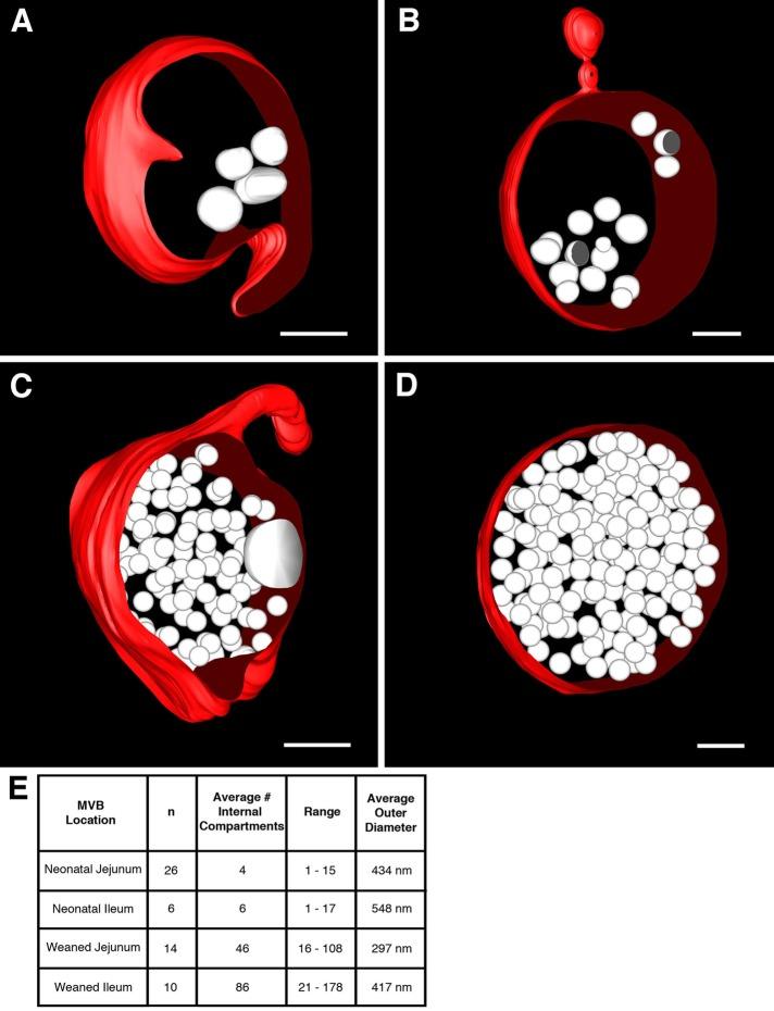 https://cdn.ncbi.nlm.nih.gov/pmc/blobs/5070/3386217/57a233965966/2537fig5.jpg