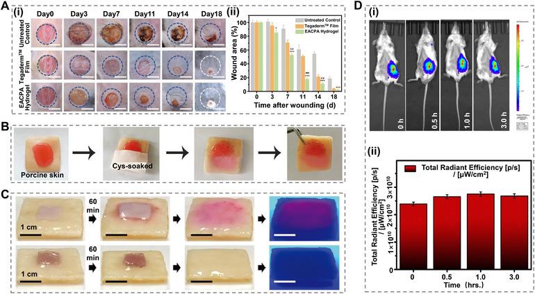 https://cdn.ncbi.nlm.nih.gov/pmc/blobs/5074/12018771/648423e09e48/MCO2-6-e70181-g022.jpg
