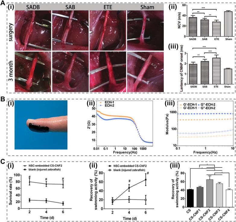 https://cdn.ncbi.nlm.nih.gov/pmc/blobs/5074/12018771/70713c542ca5/MCO2-6-e70181-g009.jpg