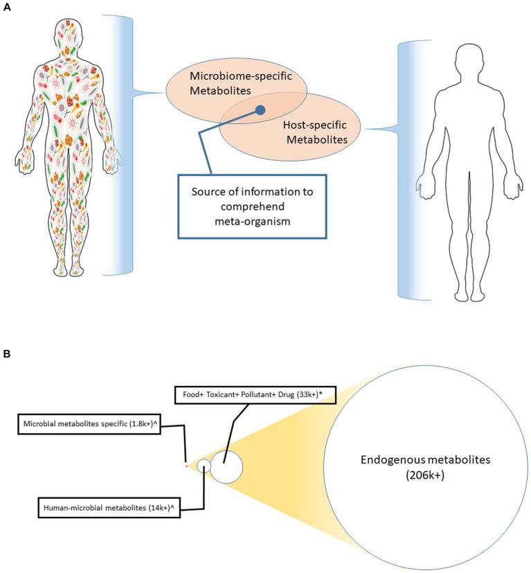 https://cdn.ncbi.nlm.nih.gov/pmc/blobs/5076/10949987/fa843626b03c/fmicb-15-1337368-g001.jpg