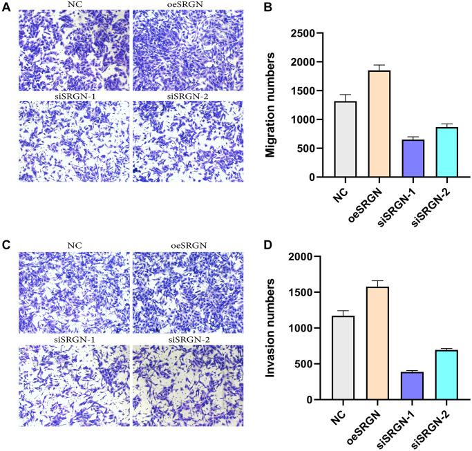 https://cdn.ncbi.nlm.nih.gov/pmc/blobs/5077/8457593/26ff2d9f4556/aging-13-203392-g007.jpg