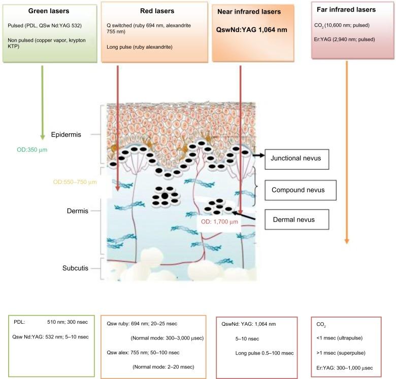 https://cdn.ncbi.nlm.nih.gov/pmc/blobs/5078/3965271/2c60ebb30d04/ccid-7-089Fig7.jpg