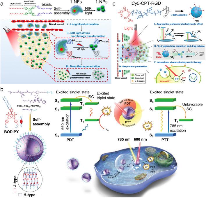 https://cdn.ncbi.nlm.nih.gov/pmc/blobs/5079/9164479/5a232cee93e4/12951_2022_1449_Fig6_HTML.jpg