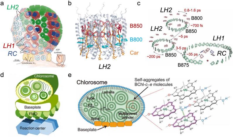 https://cdn.ncbi.nlm.nih.gov/pmc/blobs/5079/9164479/e42971a9da54/12951_2022_1449_Fig1_HTML.jpg