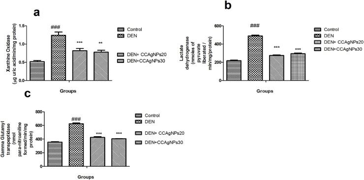 https://cdn.ncbi.nlm.nih.gov/pmc/blobs/507b/8039534/1ec171d11250/gr6.jpg