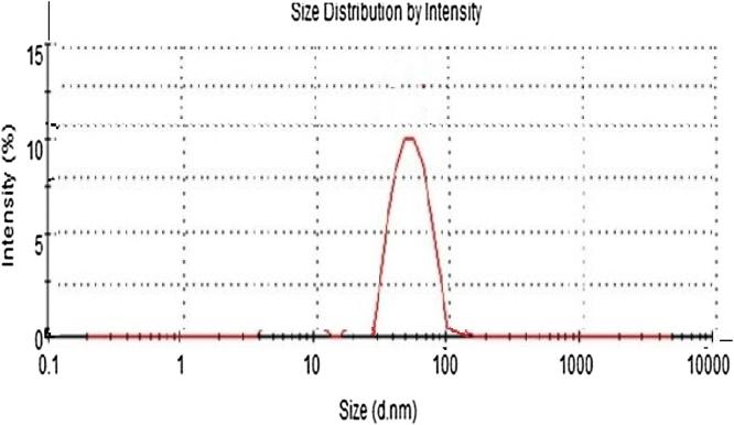 https://cdn.ncbi.nlm.nih.gov/pmc/blobs/507b/8039534/42da8ba11592/gr3.jpg
