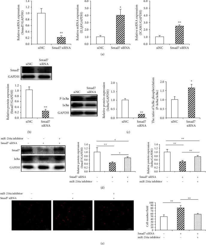 https://cdn.ncbi.nlm.nih.gov/pmc/blobs/507d/7688351/f859ef75791f/DM2020-8864322.003.jpg