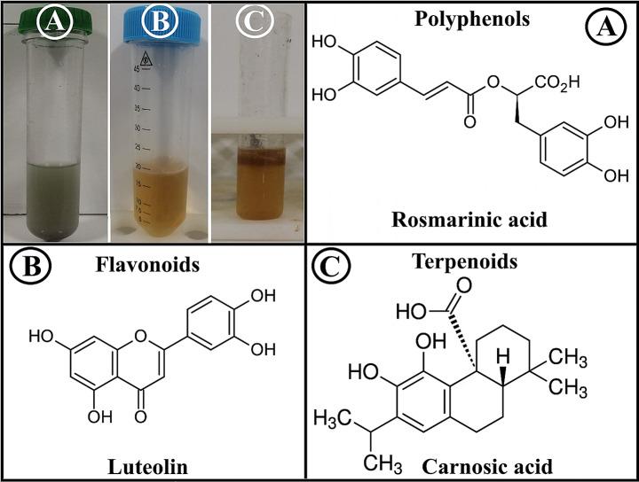 https://cdn.ncbi.nlm.nih.gov/pmc/blobs/507f/10768302/23def33c6f57/12906_2023_4329_Fig1_HTML.jpg