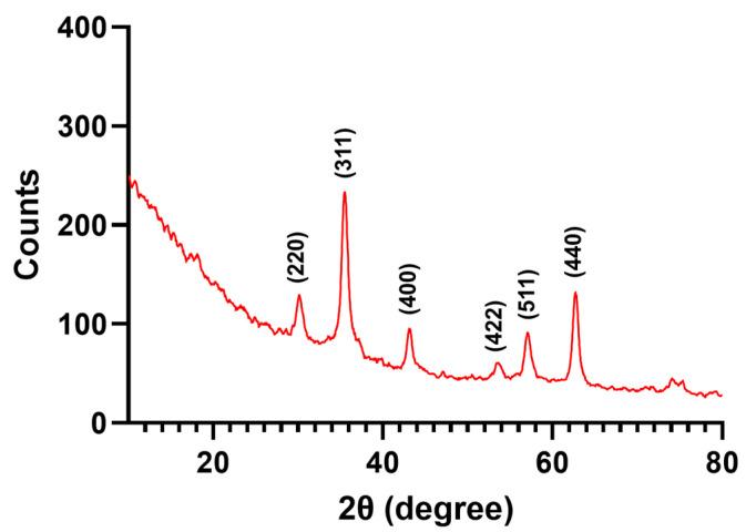 https://cdn.ncbi.nlm.nih.gov/pmc/blobs/5080/10609521/17d882f1eb79/nanomaterials-13-02795-g002.jpg