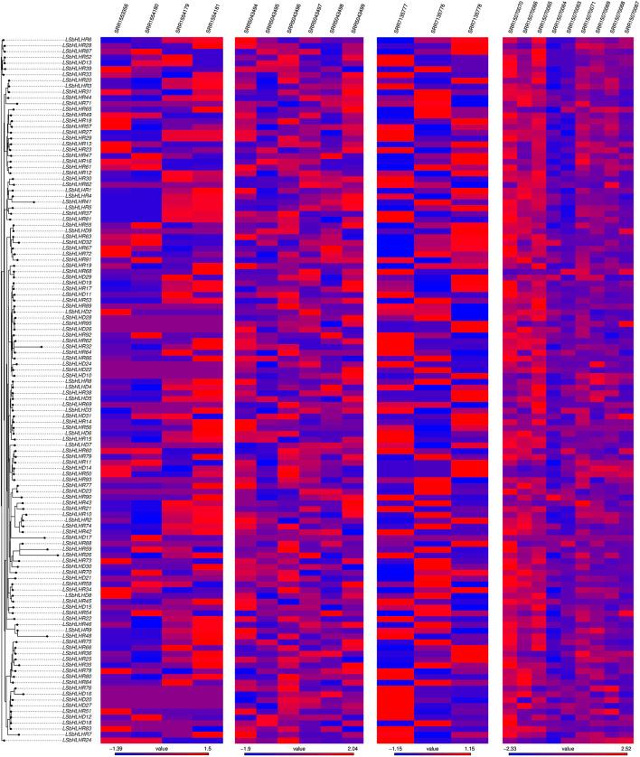 https://cdn.ncbi.nlm.nih.gov/pmc/blobs/5088/10067732/06b490c68f3d/fgene-14-1128992-g006.jpg