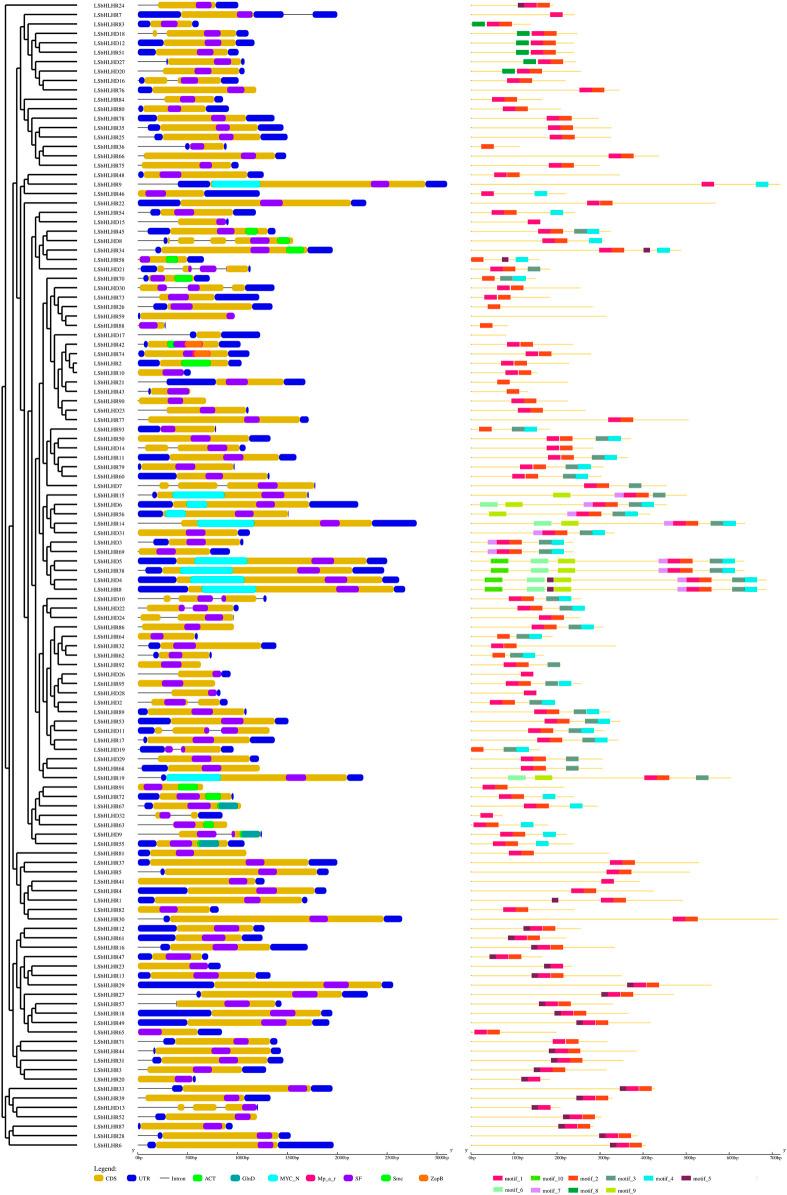 https://cdn.ncbi.nlm.nih.gov/pmc/blobs/5088/10067732/2a53aba69223/fgene-14-1128992-g003.jpg