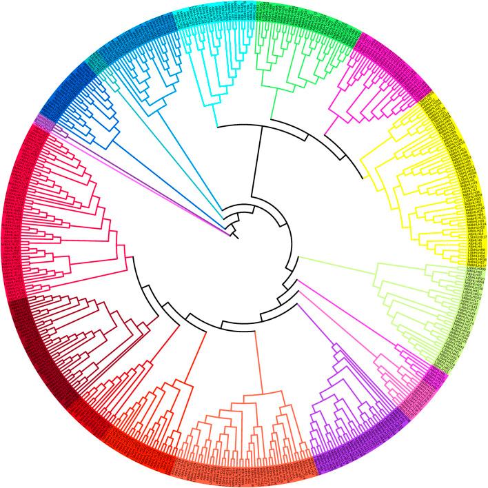 https://cdn.ncbi.nlm.nih.gov/pmc/blobs/5088/10067732/a129aafe1240/fgene-14-1128992-g001.jpg