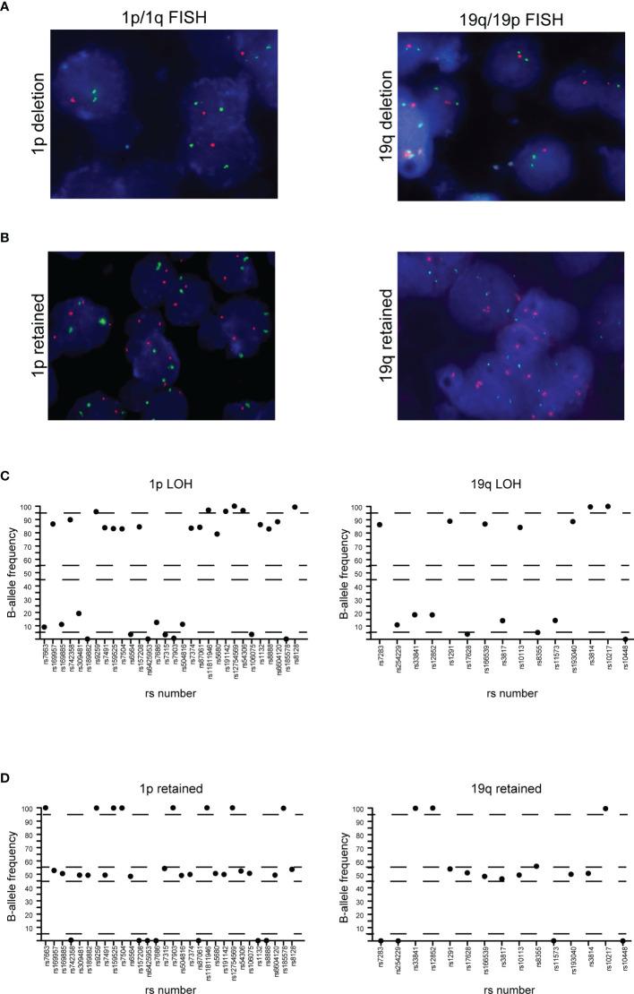 https://cdn.ncbi.nlm.nih.gov/pmc/blobs/5088/8969903/bec345e515d8/fonc-12-861078-g004.jpg