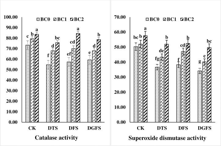 https://cdn.ncbi.nlm.nih.gov/pmc/blobs/508b/9049366/790ed617d043/pone.0267819.g005.jpg