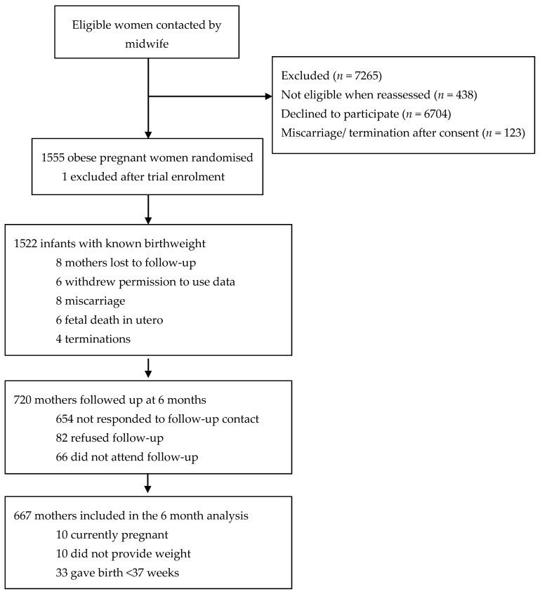 https://cdn.ncbi.nlm.nih.gov/pmc/blobs/508d/8227672/f252d17ee4b1/nutrients-13-01979-g001.jpg