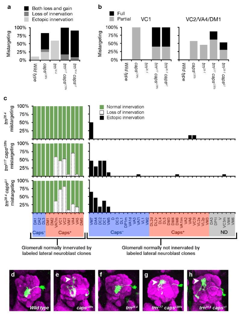 https://cdn.ncbi.nlm.nih.gov/pmc/blobs/508e/2826190/328784ca64f3/nihms165648f8.jpg