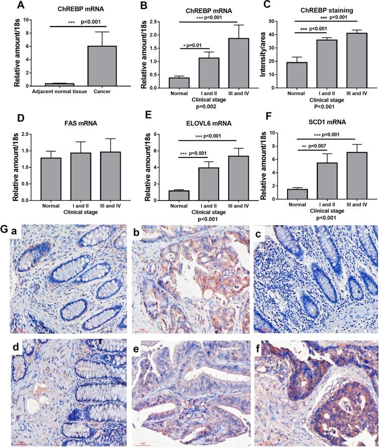 https://cdn.ncbi.nlm.nih.gov/pmc/blobs/508f/7060312/b01643b2e7eb/41598_2020_60903_Fig1_HTML.jpg