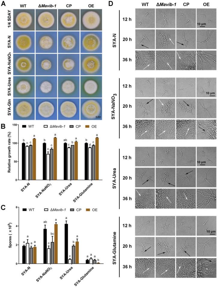 https://cdn.ncbi.nlm.nih.gov/pmc/blobs/508f/9224900/20f653a34285/jof-08-00594-g005.jpg