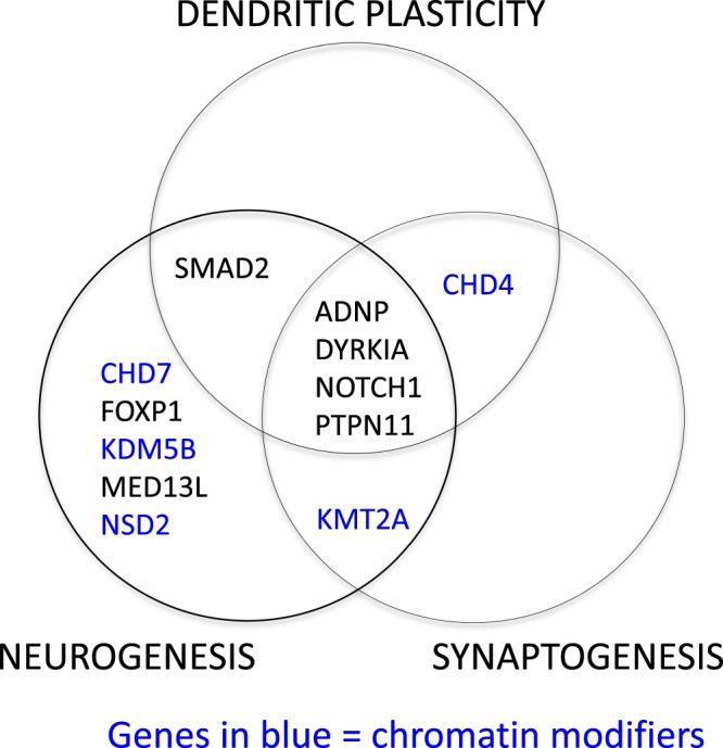 https://cdn.ncbi.nlm.nih.gov/pmc/blobs/5090/7184603/61eeabd47424/41598_2020_63928_Fig2_HTML.jpg