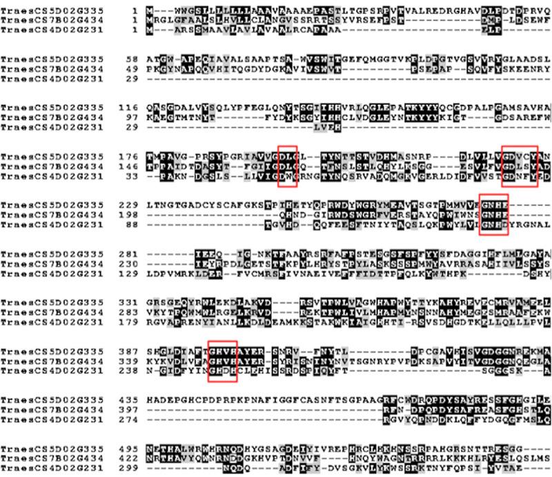 https://cdn.ncbi.nlm.nih.gov/pmc/blobs/5090/7984616/091ef3e5d8c4/pone.0248717.g001.jpg