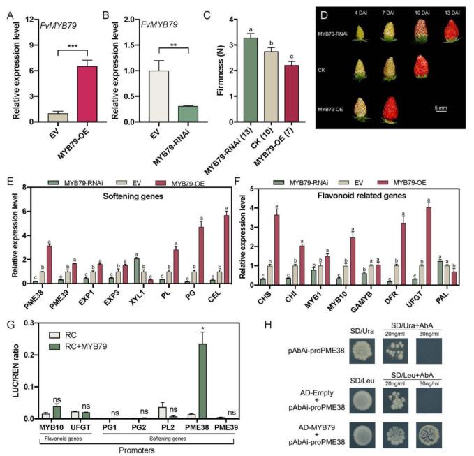 https://cdn.ncbi.nlm.nih.gov/pmc/blobs/5091/8744888/00698abd89c0/ijms-23-00101-g004.jpg