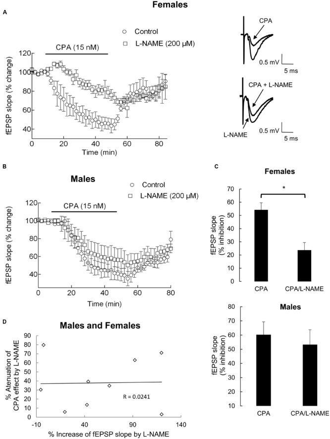 https://cdn.ncbi.nlm.nih.gov/pmc/blobs/5093/4840265/2e9eb3ab00ee/fphar-07-00103-g002.jpg