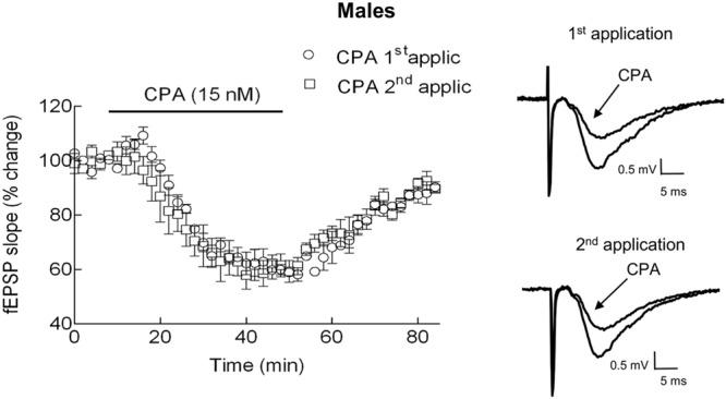 https://cdn.ncbi.nlm.nih.gov/pmc/blobs/5093/4840265/6a9d740beb78/fphar-07-00103-g001.jpg