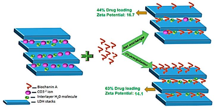https://cdn.ncbi.nlm.nih.gov/pmc/blobs/5093/8196732/232205c50abb/ijms-22-05433-g013.jpg