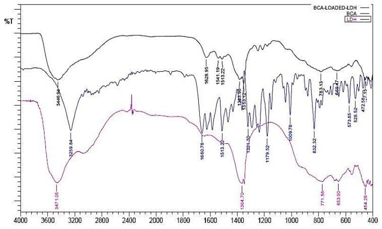 https://cdn.ncbi.nlm.nih.gov/pmc/blobs/5093/8196732/336901a03e9e/ijms-22-05433-g003.jpg
