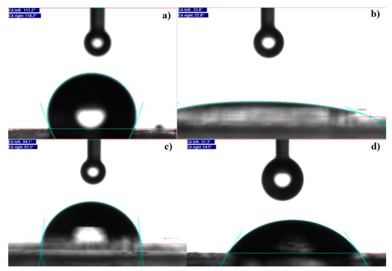 https://cdn.ncbi.nlm.nih.gov/pmc/blobs/5093/8196732/7f22b1f70065/ijms-22-05433-g016.jpg