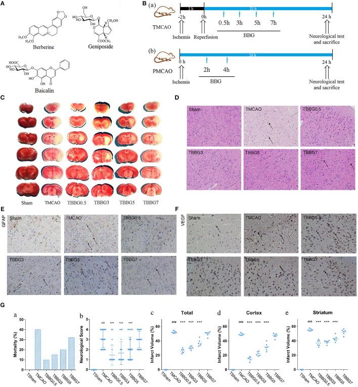 https://cdn.ncbi.nlm.nih.gov/pmc/blobs/5096/6474285/27a288dd8ed7/fphar-10-00337-g0001.jpg