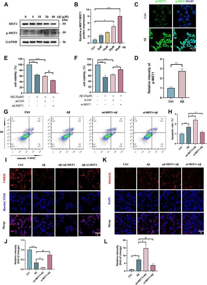 https://cdn.ncbi.nlm.nih.gov/pmc/blobs/5097/11583452/0947624e66f8/12967_2024_5852_Fig7_HTML.jpg